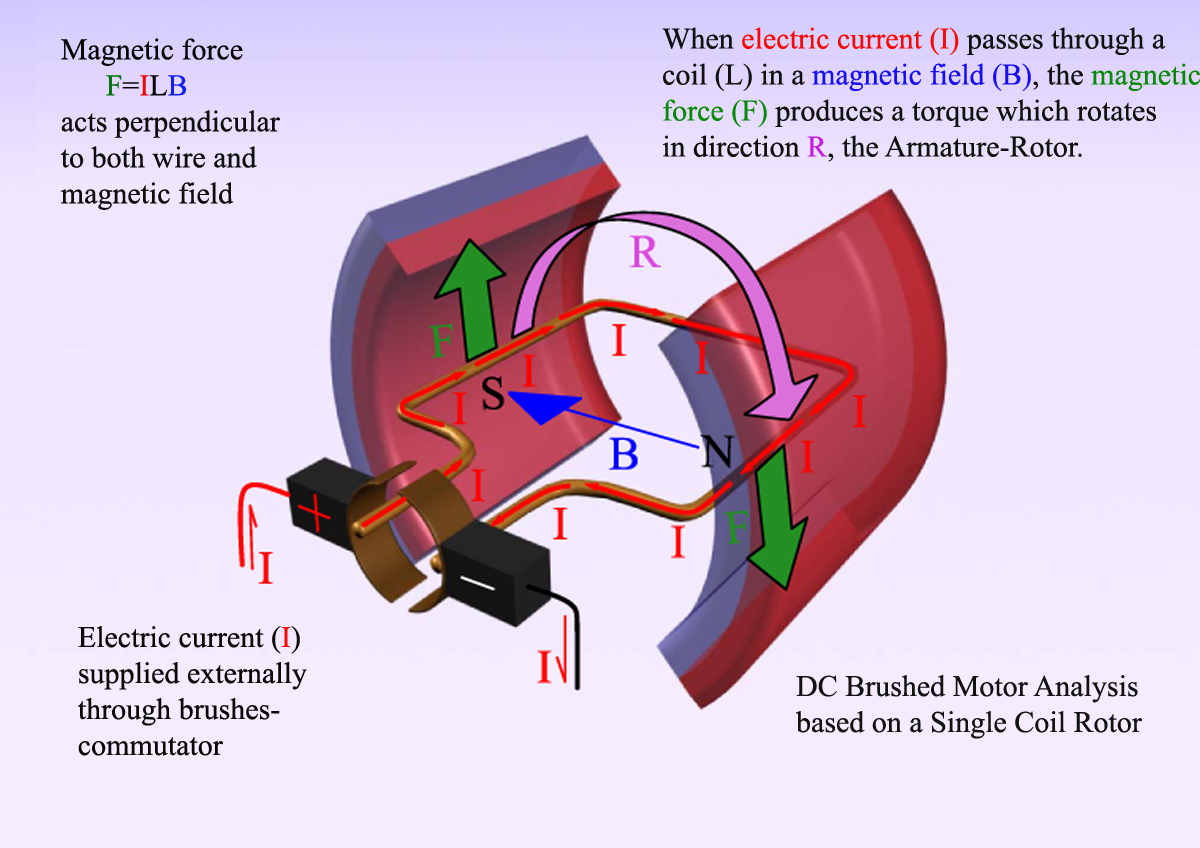 SINGLE_COIL_ANALYSIS_MAYA.jpg