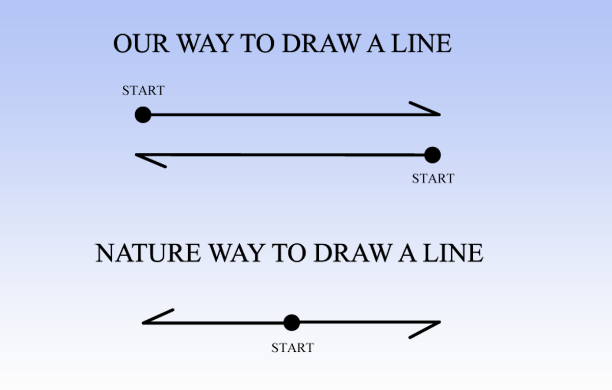 NATURE_WAY_DRAW_LINES_1.png