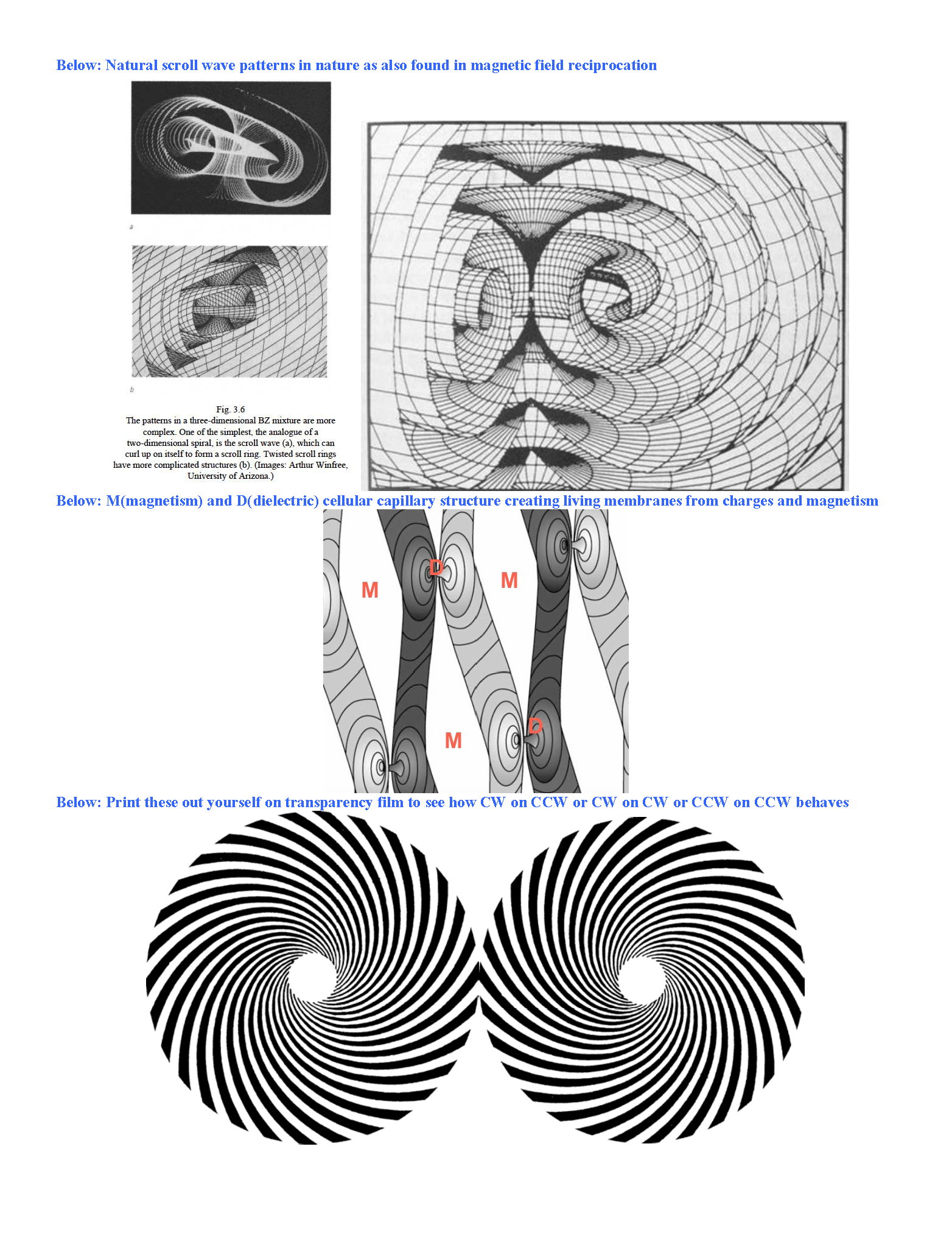 Ken_Wheeler_Uncovering_Secrets_Magnetism_Page_053.png